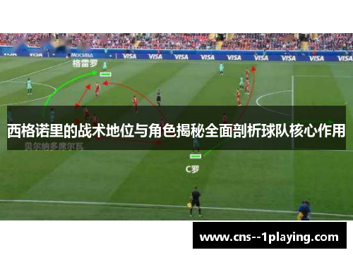 西格诺里的战术地位与角色揭秘全面剖析球队核心作用